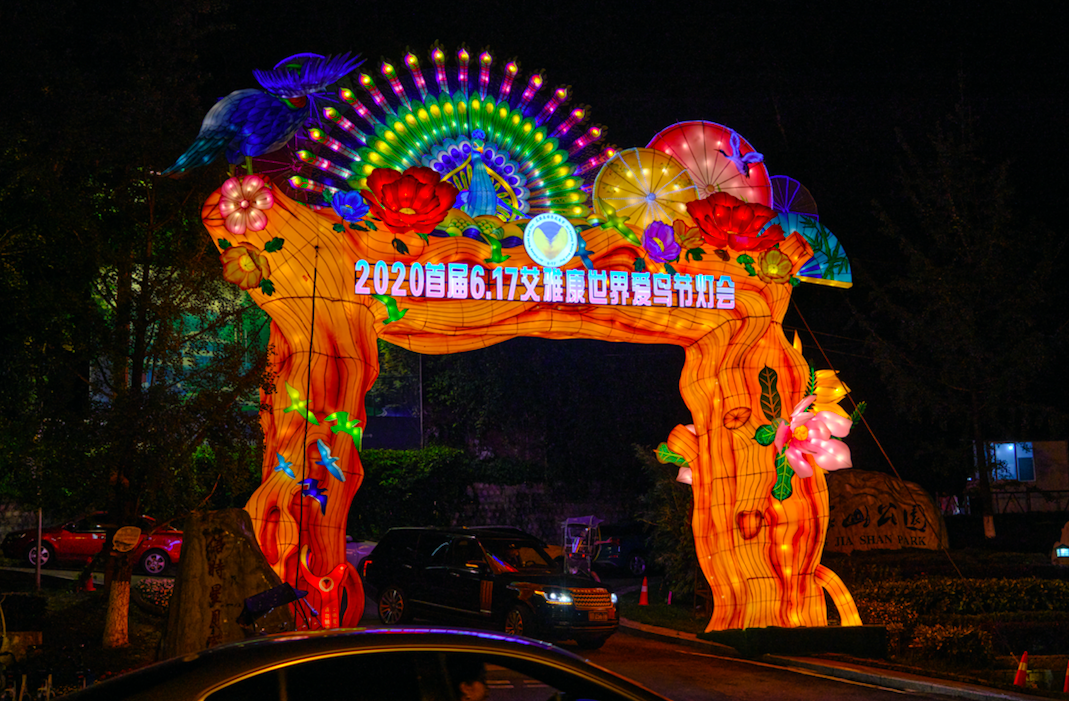 免费看灯喽！6月17日“艾雅康世界爱鸟节灯会”邀你免费观看！