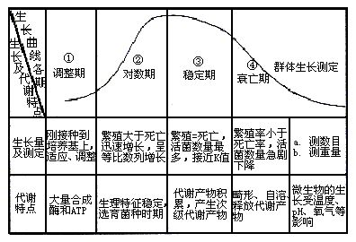 干貨！活性污泥10大知識點匯總，學會了就是專家！的圖1