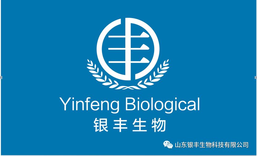 山东银丰生物科技有限公司简介