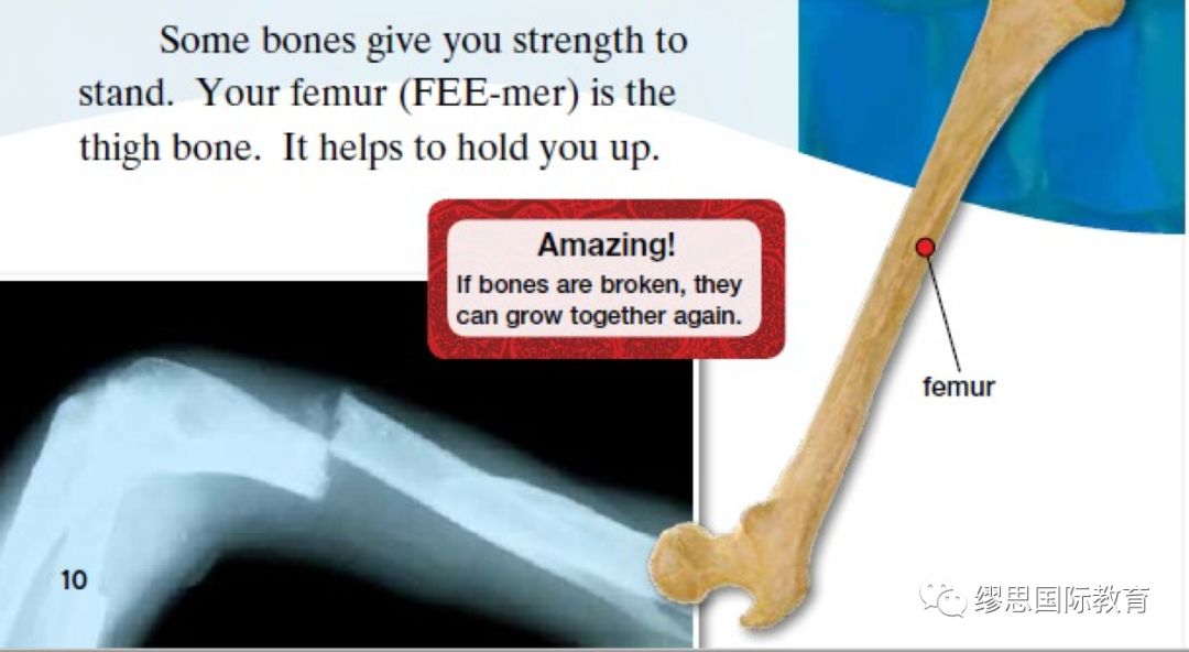 0 18岁完全英语学习规划路径 小c老师开讲 这里有只米老鼠 微信公众号文章阅读 Wemp