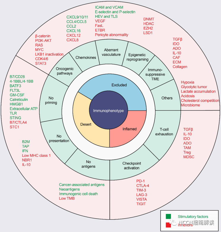 pt床怎么拆卸通过改善 T 细胞浸润将冷肿瘤转变为热肿瘤_https://www.jmylbn.com_新闻资讯_第10张