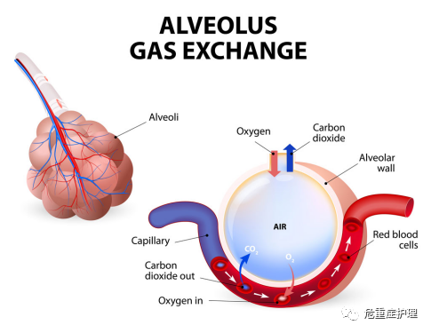 为什么要带家用呼吸机慢阻肺患者需要使用家用无创呼吸机吗？_https://www.jmylbn.com_新闻资讯_第3张