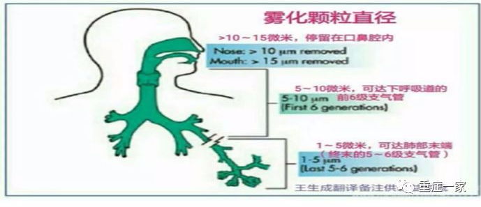 为什么超声雾化器雾量少雾化治疗经常做，而这些“雾区”里的“误区”，你知道吗？_https://www.jmylbn.com_新闻资讯_第2张