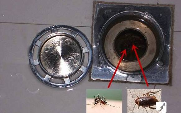 【蘭州排水管】原來洗衣機(jī)排水管直接插地漏是錯(cuò)的！正確姿勢(shì)是這樣-甘肅智宇塑膠有限責(zé)任公司