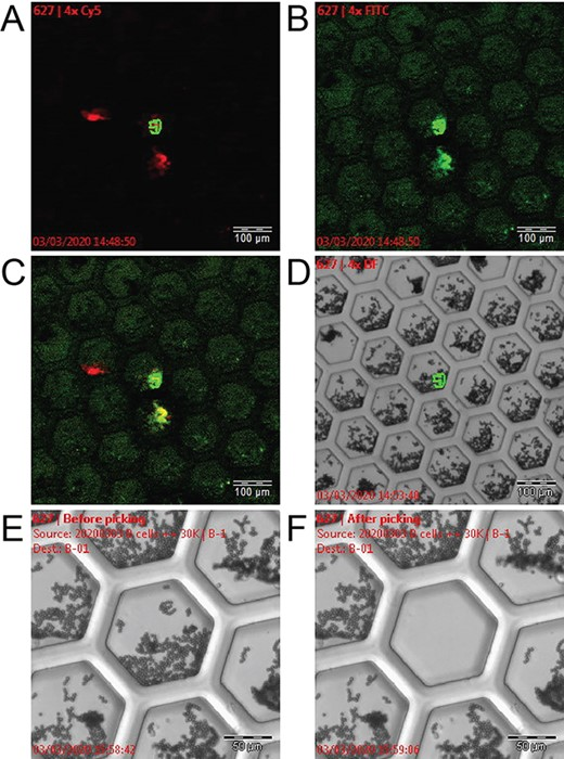 AlphaFold 3問世，一鍵實(shí)現(xiàn)抗體藥開發(fā)近在眼前？