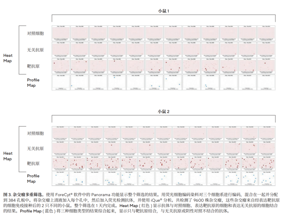 AlphaFold 3問世，一鍵實(shí)現(xiàn)抗體藥開發(fā)近在眼前？
