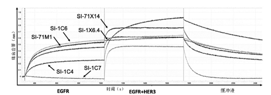 AlphaFold 3問世，一鍵實(shí)現(xiàn)抗體藥開發(fā)近在眼前？