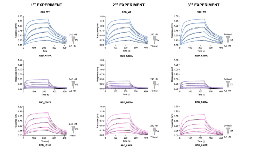三篇背靠背《Cell》，都離不開(kāi)Octet...