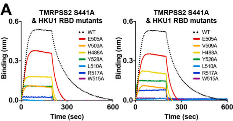 三篇背靠背《Cell》，都離不開(kāi)Octet...