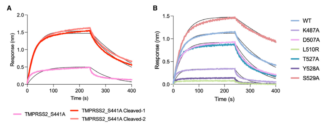 三篇背靠背《Cell》，都離不開(kāi)Octet...