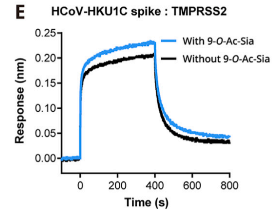 三篇背靠背《Cell》，都離不開(kāi)Octet...