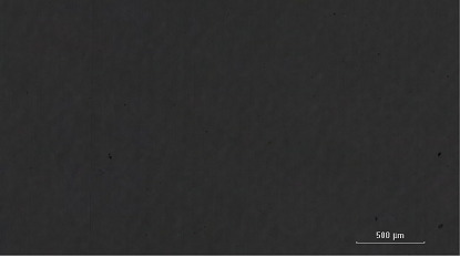 保護海洋｜純水在微塑料檢測中的關(guān)鍵作用