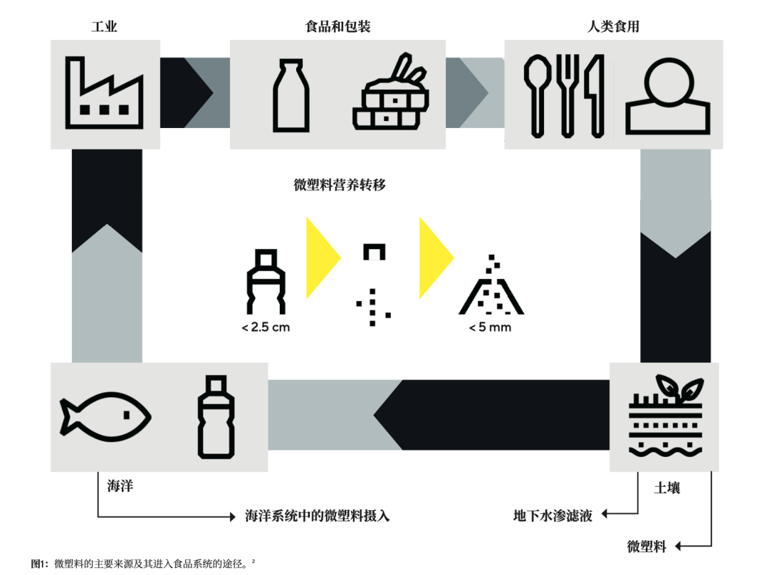 保護海洋｜純水在微塑料檢測中的關(guān)鍵作用