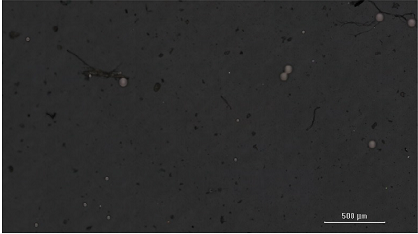 保護海洋｜純水在微塑料檢測中的關(guān)鍵作用