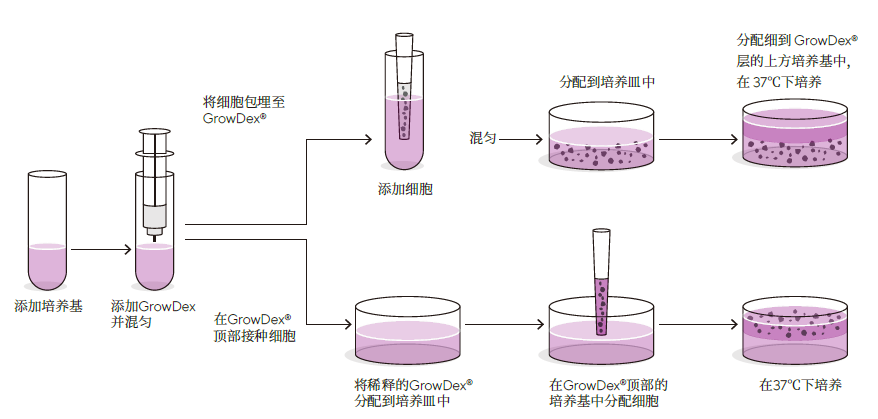 3D细胞培养的制备工作