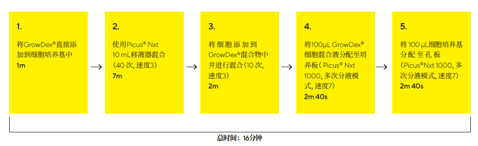 96 孔板中用GrowDex®包埋细胞示意图