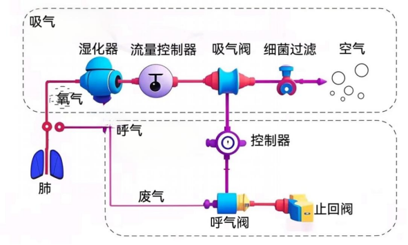 什么可以代替呼吸机机器代替呼吸时如何让肌肉不“躺平”_https://www.jmylbn.com_新闻资讯_第14张