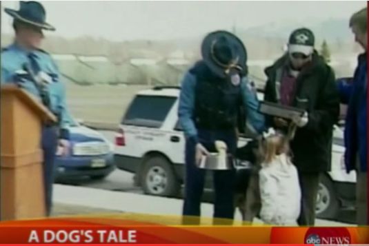 狗狗為救主人帶著警車一路狂奔！接下來的畫面，讓警察直呼：不可思議！ 寵物 第7張