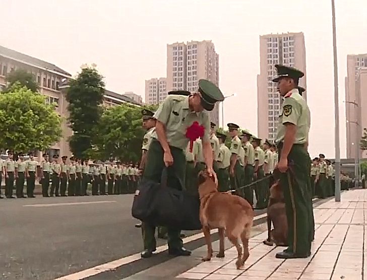 警犬緊咬訓導員背包不松，他們之間，是生死之交啊 寵物 第4張