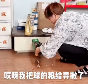 铲屎官不小心踩了小猫咪一脚,喵疼得直伸后腿,然后立刻咬腿报复回去…-微信头条网 铲屎官不小心踩了小猫咪一脚,喵疼得直伸后腿,然后立刻咬腿报复回去…