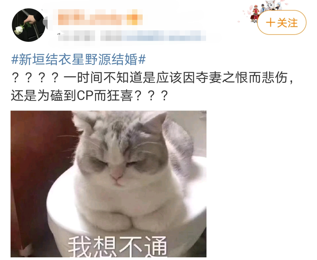 当网友们知道新垣结衣结婚后 哈哈哈哈哈大型失恋现场 柠檬资讯