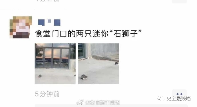 【爆笑】千万别随便翻别人手机相册！否则…太尴尬了哈哈哈哈（组图） - 8