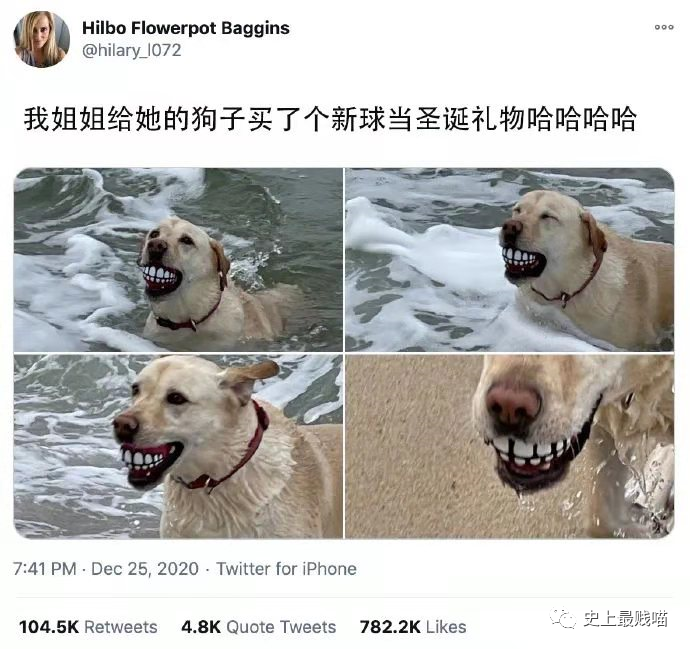“网X云年度歌单翻车现场!” 哈哈哈哈哈哈哈被网友评论笑尿了!!-微信头条网 “网X云年度歌单翻车现场!” 哈哈哈哈哈哈哈被网友评论笑尿了!!