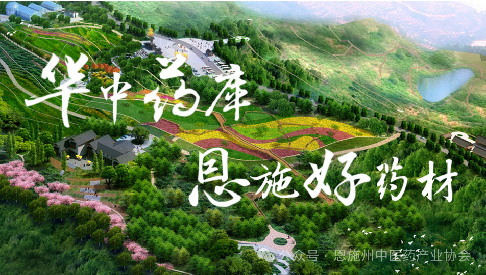 利川黄连交易中心开市