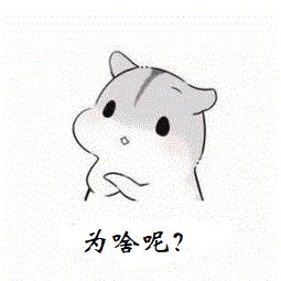 抓紧落实阶段性减免政策,喊您报“基数”啦! 抓紧落实阶段性减免政策,喊您报“基数”啦!