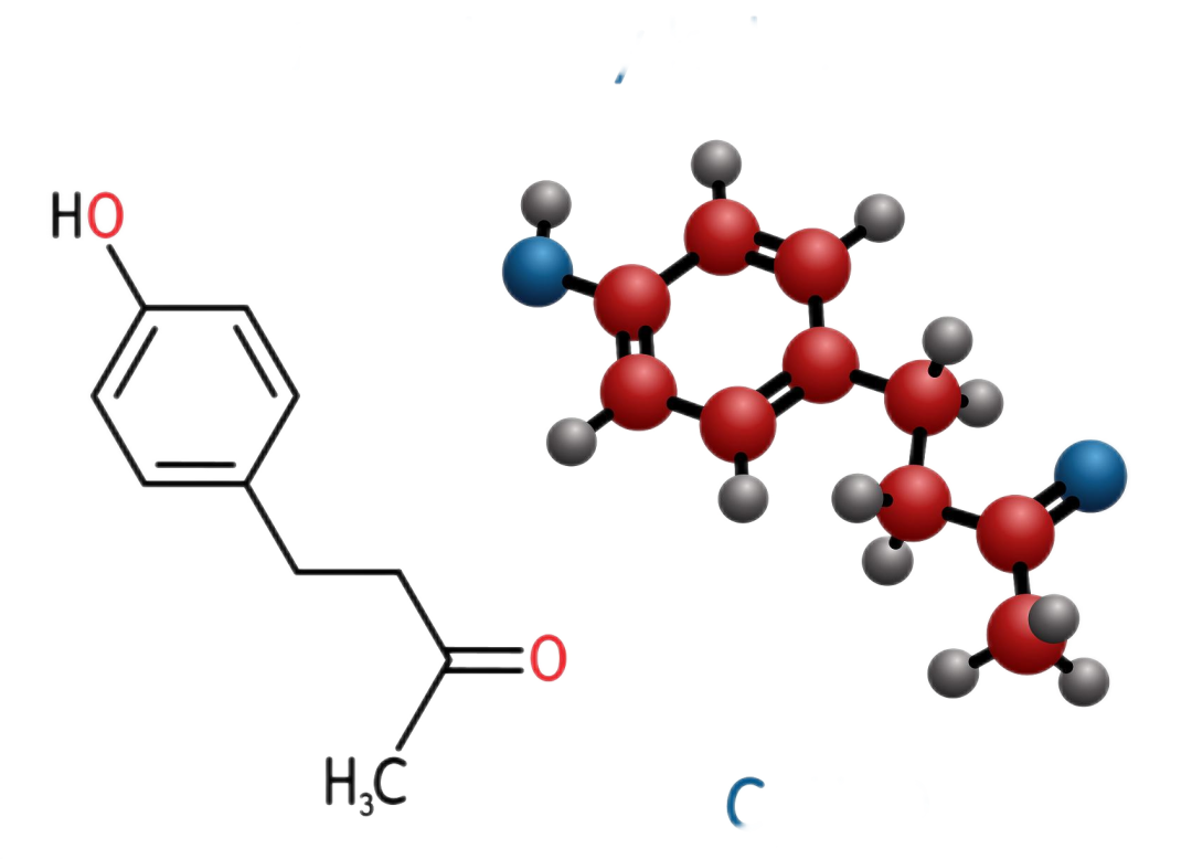 为什么要校正血酮仪科普 ｜ 血酮体测定，你需要注意的事项_https://www.jmylbn.com_新闻资讯_第5张