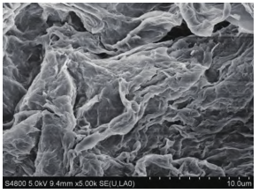 有机改性氧化石墨烯/尼龙纤维的性能研究的图10