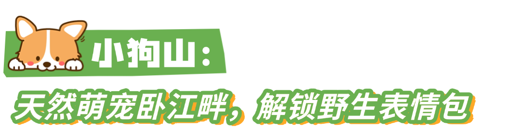 上传PSD (4).png