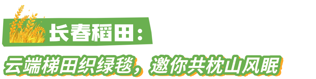 上传PSD (7).png