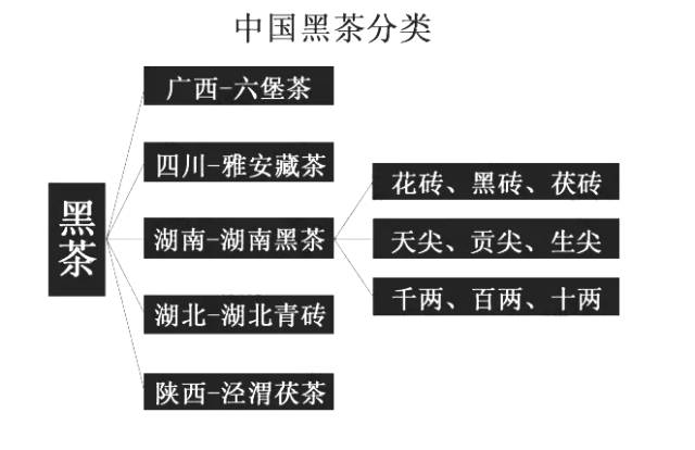你了解我们黑茶家族吗？一张图看懂我，看懂安化黑茶