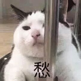 种植牙科普小问答，你想知道的都在这里啦！