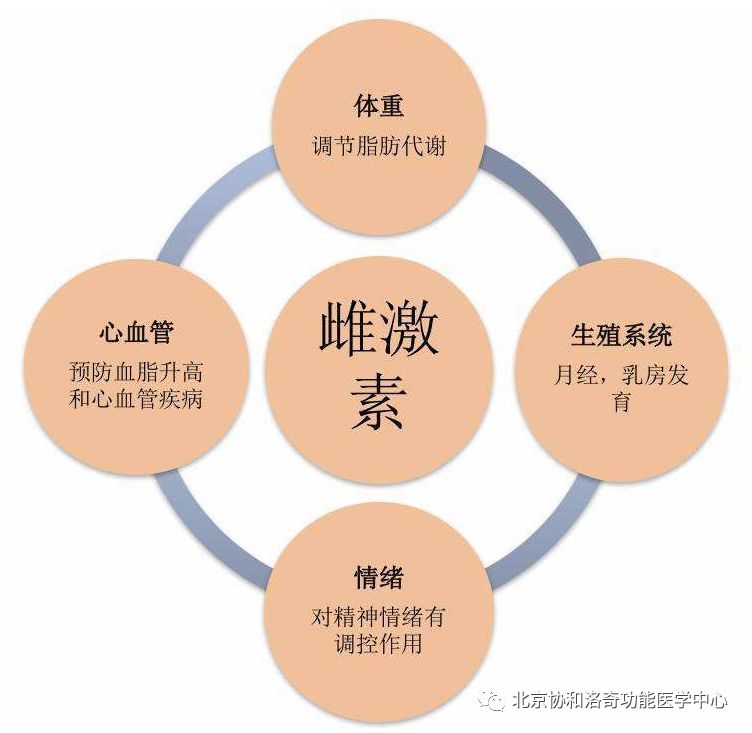 女性必读！带你了解让人欢喜让人忧的「雌激素」