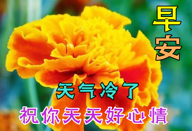 11月14日早上好动态表情图片大全 早晨好动图美图大全 点点星光 为新搜