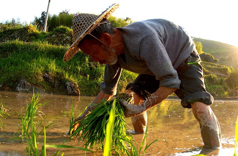致敬!我们在空调房里吐槽高温,他们在似火骄阳下挥汗如雨