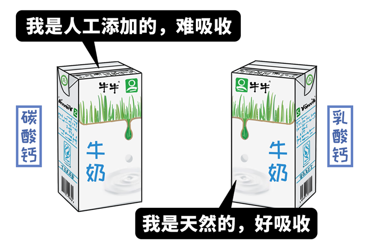 牛奶早上喝還是晚上喝？哪種奶最健康？關於牛奶的6大真相都在這了 健康 第8張