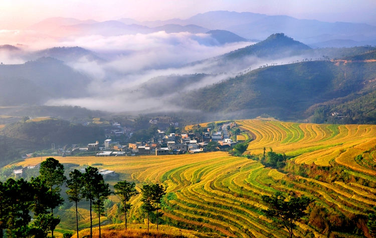 建设东亚文化之都丨打卡梅州十景坪山梯田入胜景美丽古村画中来