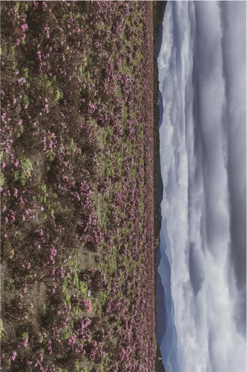 旅行 | 從城市搬去鄉村，看見了怎樣的香格里拉？ 旅遊 第8張