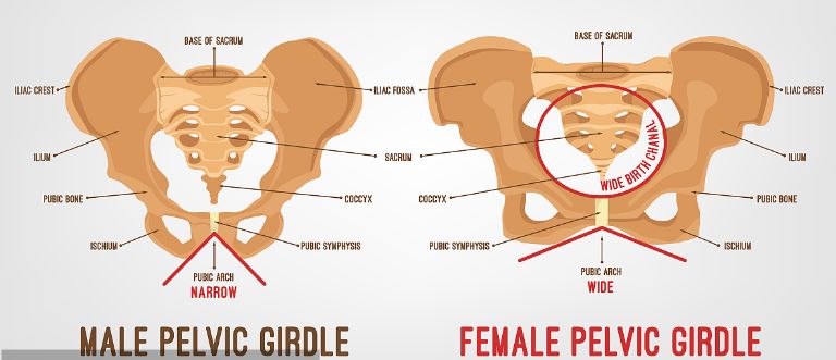 骨盆骨折物理治疗指导physical Therapist S Guide To Pelvic Fracture 广西医科大二附院康复医学科 微信公众号文章阅读 Wemp