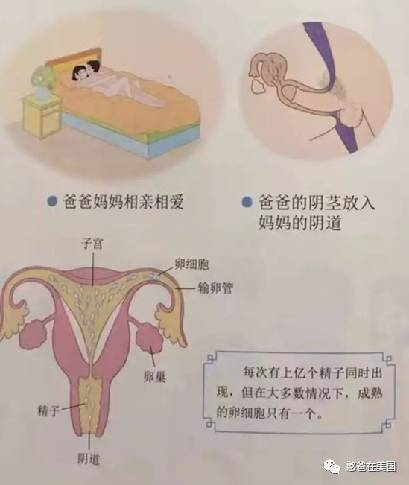 看完美国学校的性教育中国的还是小case了