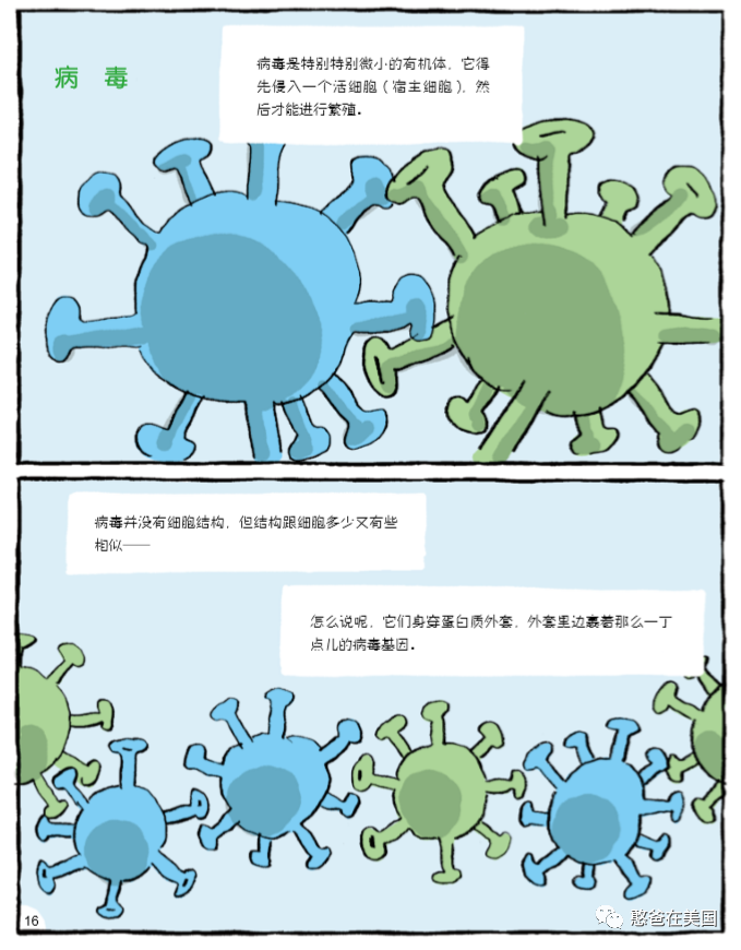 预告 读完这套生物漫画 将来学生物一定毫不费力 憨爸在美国 微信公众号文章阅读 Wemp