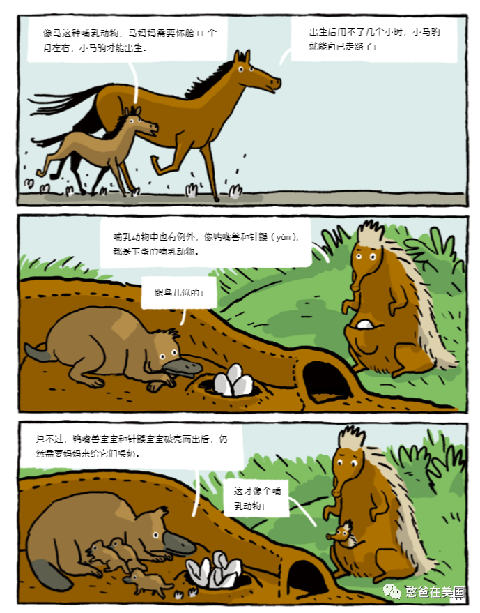 预告 读完这套生物漫画 将来学生物一定毫不费力 憨爸在美国 微信公众号文章阅读 Wemp