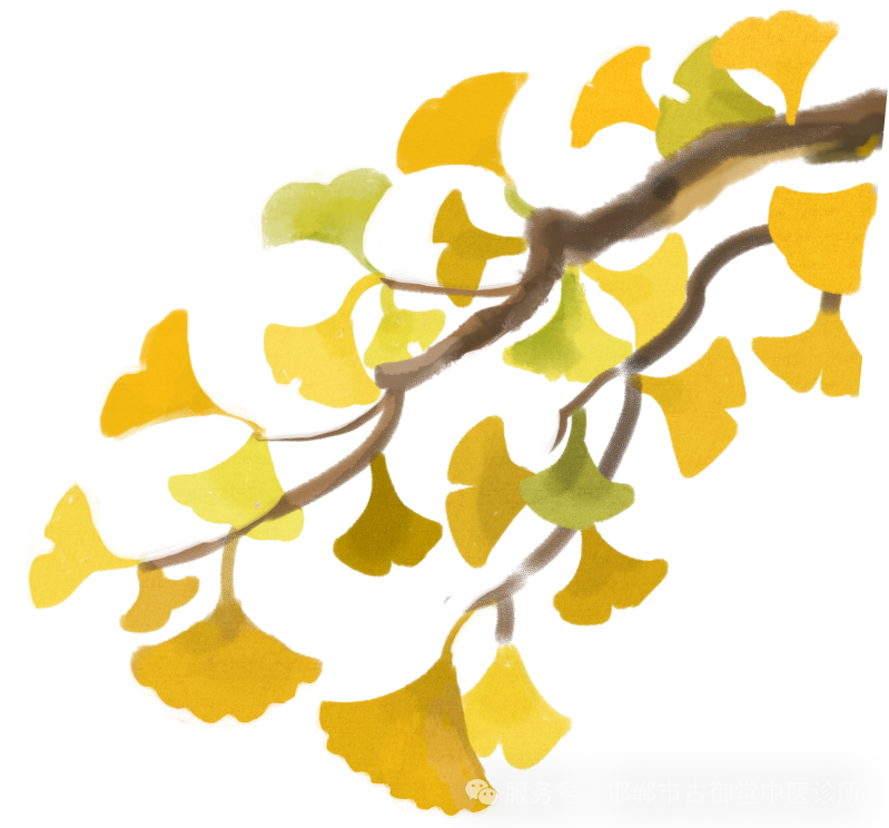 中药代茶饮，补气补血的最佳泡茶选择_中医养生