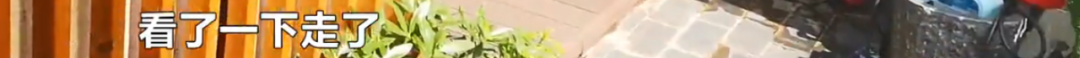 DƬ