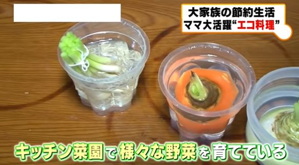 日本月收只有萬日元9口人大家庭 每月竟然還要存10萬 東京新青年 微文庫