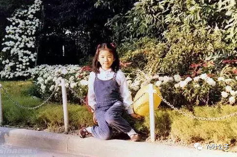 “富豪杀手”黄奕的肆意人生,和她背后的15个男人插图2 “富豪杀手”黄奕的肆意人生,和她背后的15个男人插图2