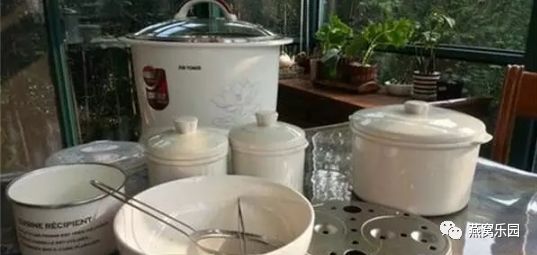 史上最细心的炖燕窝介绍，没有之一